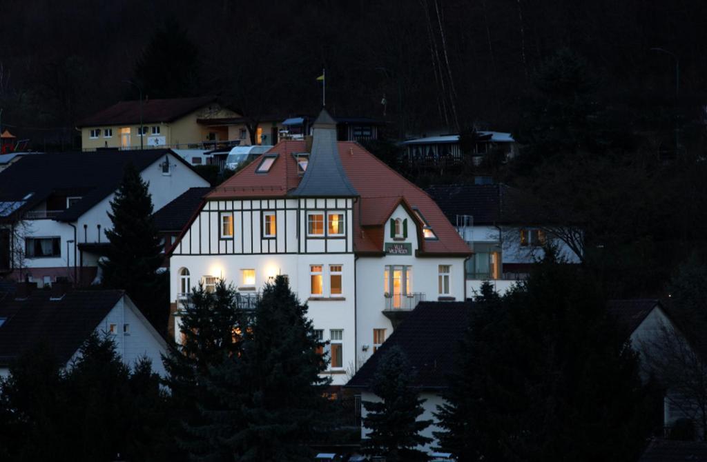 Villa Waldfrieden - Design Trifft Budget Анвайлер ам Трифелс Екстериор снимка
